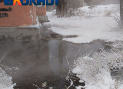 Узникам волгоградского дома ада объявили конец страданий