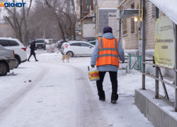 Волгоградские ученые создают таблетки от «старости»