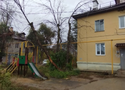 В Волгограде во время шторма падают деревья и обрывают провода 