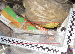 Под Волгоградом задержали разбойников с ножницами, четыре дня кошмаривших станичника 