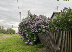 Три человека погибли при чистке септика под Волгоградом 