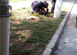 Водитель автобуса залил из огнетушителя пассажира-дебошира в Волгограде