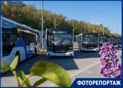 Пятнадцать новеньких автобусов выйдут на популярный маршрут №21 в Волгограде 
