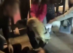 Женским "чемпионатом" по выдиранию волос у ночного клуба в Волгограде заинтересовалась полиция