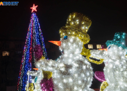 В Волгограде скромно освоят 18 млн на новогодних украшениях