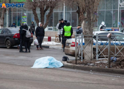 Жуткие кадры с места смертельного ДТП: под Волгоградом на переходе сбили женщину