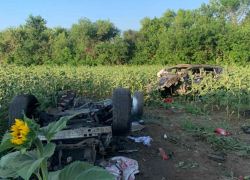 Два человека погибли в разорванной Toyota в Волгоградской области: видео