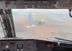 Самолёт Москва – Волгоград столкнулся с птицей