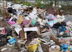 Дорогу завалили мусором в Волгограде – видео