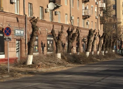 Сегодня введено одностороннее движение на улице Чуйкова в Волгограде