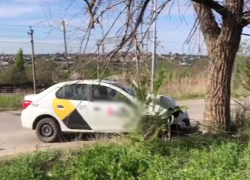 В Волгограде таксист «Яндекса» врезался в дерево, вышел из машины и умер 