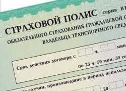 23-летний волгоградец попался на мошенничестве с полисами ОСАГО 
