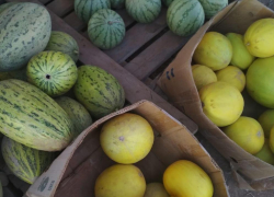 Прокуратура взяла на контроль смертельное отравление ребенка после порции арбуза в Волгограде