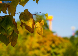 Почему из Волгограда не уходит аномальный «плюс»: синоптики