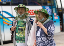 Волгоградская инфекционист назвала главную опасность мошек 