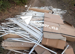 Более 300 ртутных ламп выбросили в пойме Царицы в Волгограде