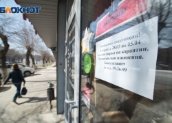 За год количество организаций в Волгоградской области уменьшилось на 2 тысячи
