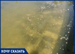 Самый большой фонтан юга России пугает волгоградцев пеной и грязью