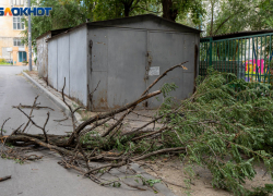 В Волгоградской области шквалистым ветром сносило крыши и рвало провода