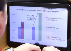 Под овации: волгоградский депутат показал, как Госдума приняла новый бюджет России 