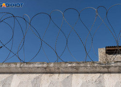 В Волгограде арестовали наркоторговца за попытку подкупить сотрудника ФСБ 