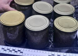 Операция «Путина»: полицейские забрали у волгоградца 4 кг чёрной икры