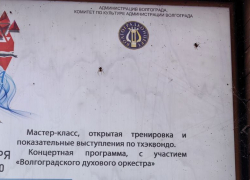 Восьминогие охранники появились на набережной в Волгограде