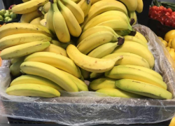 Волгоградский фермер раскрыл тайну рекордных цен на бананы