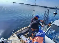 Первых речных нарушителей начали штрафовать в Волгограде 