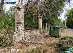 Волгоградцы назвали самые нуждающиеся в благоустройстве парки