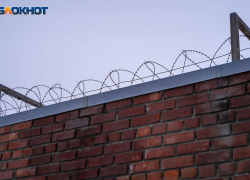 Отсидевший 26 лет за секс-преступления волгоградец снова попался на попытке изнасилования