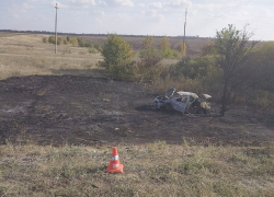 Иномарка выгорела дотла на трассе в Волгоградской области