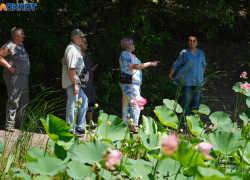 Гигантским наплывом туристов похвасталась Волгоградская область 