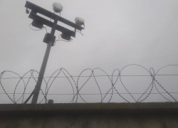 В Волгограде бывший служащий академии МВД сколотил банду страховых мошенников