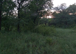 Охотник погиб и другой получил ранение при забое животного в Волгоградской области