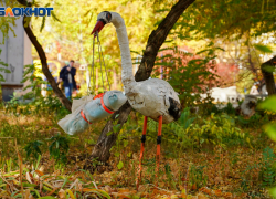 Волгоградки получили маткапитал и пособия по поддельным свидетельствам о домашних родах 