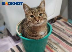 Центру Волгограда перекроют воду из-за ремонта на Привокзальной площади