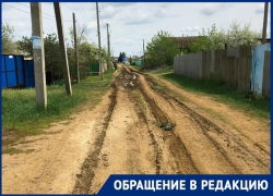 Пусть губернатор видит, как живет область, - жительница Котово о бездорожье и мусоре в городе