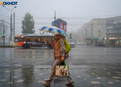 Сбой в оплате проезда произошел в волгоградском транспорте 