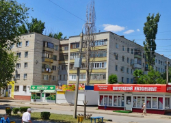 В мэрии объяснили смерть волгоградки под упавшим деревом