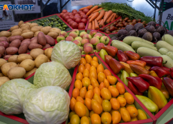 Волгоградцам назвали дневную порцию овощей и фруктов для борьбы с деменцией