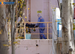 В Волгоградской области нашли заболевших тремя видами вируса