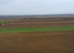 Прятаться бесполезно: БПЛА поднимут в небо под Волгоградом