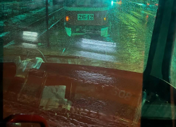 Волгоградские трамваи без кондукторов и валидаторов стали проклятьем пассажиров