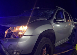 Трусливо бросил умирать сбитую велосипедистку водитель «Рено Дастер» под Волгоградом