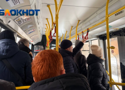 Какой транспорт будет работать в новогоднюю ночь-2026 в Волгограде 