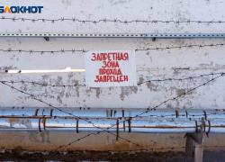 Ввести курс выживания на зоне в "школе мэров" РАНХиГС предложил политолог Шумилин 