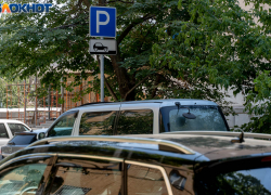 Облили кислотой и разбили окно: под Волгоградом неизвестные «покалечили» два автомобиля 