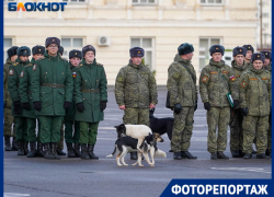 Штурмовали Грозный и дошли до Берлина: военной дивизии в Волгограде вернули историческое название