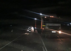 Три человека погибли в ночной аварии с лошадью на трассе Волгоград-Астрахань